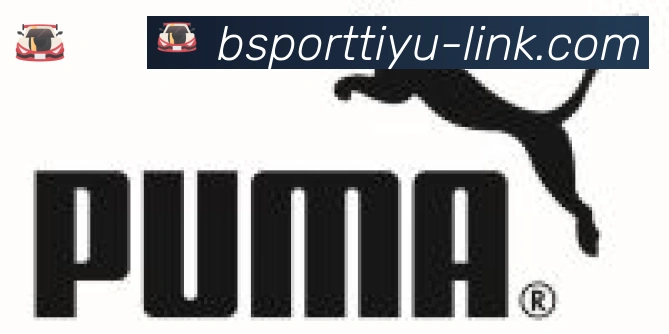 Bsports官网合作伙伴