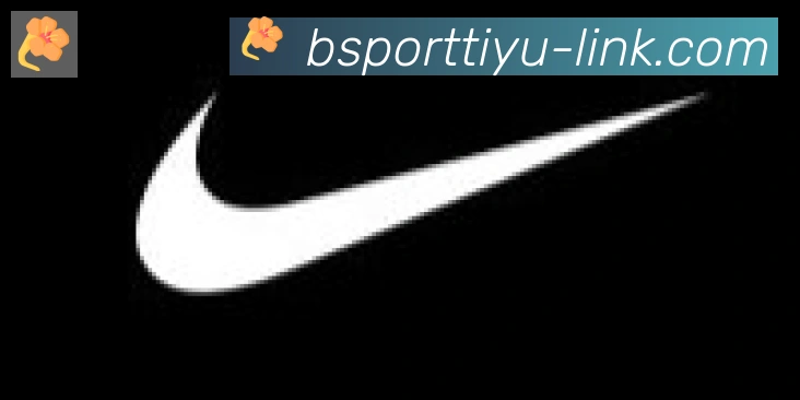 Bsports官网合作伙伴